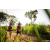 Team 10 / Raid Amazones Sri Lanka 2022 - J1 Trail
