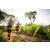 Team 16 / Raid Amazones Sri Lanka 2022 - J1 Trail