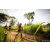 Team 312 / Raid Amazones Sri Lanka 2022 - J1 Trail