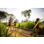 Team 312 / Raid Amazones Sri Lanka 2022 - J1 Trail