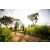 Team 321 / Raid Amazones Sri Lanka 2022 - J1 Trail
