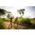 Team 47 / Raid Amazones Sri Lanka 2022 - J1 Trail