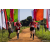 Team 08 / Raid Amazones Sri Lanka 2022 - J1 Trail