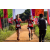 Team 44 / Raid Amazones Sri Lanka 2022 - J1 Trail