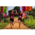 Team 25 / Raid Amazones Sri Lanka 2022 - J1 Trail