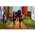 Team 65 / Raid Amazones Sri Lanka 2022 - J1 Trail