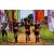 Team 314 / Raid Amazones Sri Lanka 2022 - J1 Trail