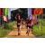 Team 73 / Raid Amazones Sri Lanka 2022 - J1 Trail