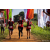 Team 301 / Raid Amazones Sri Lanka 2022 - J1 Trail
