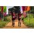 Team 71 / Raid Amazones Sri Lanka 2022 - J1 Trail