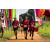 Team 333 / Raid Amazones Sri Lanka 2022 - J1 Trail