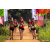 Team 304 / Raid Amazones Sri Lanka 2022 - J1 Trail
