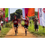 Team 33 / Raid Amazones Sri Lanka 2022 - J1 Trail