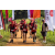 Team 309 / Raid Amazones Sri Lanka 2022 - J1 Trail