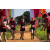 Team 321 / Raid Amazones Sri Lanka 2022 - J1 Trail