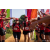 Team 14 / Raid Amazones Sri Lanka 2022 - J1 Trail