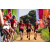 Team 302 / Raid Amazones Sri Lanka 2022 - J1 Trail