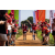 Team 74 / Raid Amazones Sri Lanka 2022 - J1 Trail