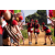 Team 43 / Raid Amazones Sri Lanka 2022 - J1 Trail