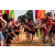 Team 326 / Raid Amazones Sri Lanka 2022 - J1 Trail
