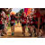 Team 76 / Raid Amazones Sri Lanka 2022 - J1 Trail