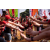 Team 305 / Raid Amazones Sri Lanka 2022 - J1 Trail