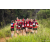 Team 328 / Raid Amazones Sri Lanka 2022 - J1 Trail