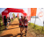 Team 44 / Raid Amazones Sri Lanka 2022 - J1 Trail