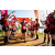 Team 320 / Raid Amazones Sri Lanka 2022 - J1 Trail