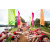 Raid Amazones Sri Lanka 2022 - J1 Trail