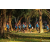 Raid Amazones Sri Lanka 2022 - J2 Canoe