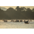 Raid Amazones Sri Lanka 2022 - J2 Canoe
