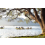 Raid Amazones Sri Lanka 2022 - J2 Canoe