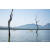 Raid Amazones Sri Lanka 2022 - J2 Canoe