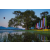 Raid Amazones Sri Lanka 2022 - J2 Canoe