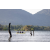 Team 302 / Raid Amazones Sri Lanka 2022 - J2 Canoe