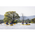 Team 97 / Raid Amazones Sri Lanka 2022 - J2 Canoe