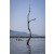 Raid Amazones Sri Lanka 2022 - J2 Canoe
