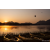 Raid Amazones Sri Lanka 2022 - J2 Canoe