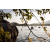 Raid Amazones Sri Lanka 2022 - J2 Canoe