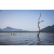 Raid Amazones Sri Lanka 2022 - J2 Canoe