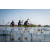 Team 325 / Raid Amazones Sri Lanka 2022 - J2 Canoe
