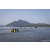 Team 313 / Raid Amazones Sri Lanka 2022 - J2 Canoe