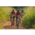 Team 333 / Raid Amazones Sri Lanka 2022 - J3 Bike Run