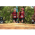 Team 75 / Raid Amazones Sri Lanka 2022 - J3 Bike Run