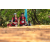 Team 55 / Raid Amazones Sri Lanka 2022 - J3 Bike Run