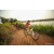 Team 333 / Raid Amazones Sri Lanka 2022 - J3 Bike Run