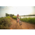 Team 304 / Raid Amazones Sri Lanka 2022 - J3 Bike Run