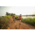 Team 303 / Raid Amazones Sri Lanka 2022 - J3 Bike Run