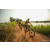 Team 321 / Raid Amazones Sri Lanka 2022 - J3 Bike Run